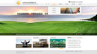 网思中国 高端网站定制与建设维护的行业典范