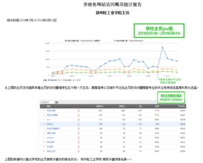 网站建设与维护 构建数字门面并保障其长效运营